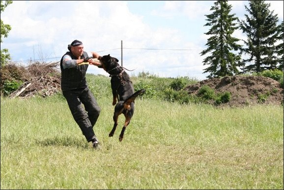 Training in Finland 6/2008