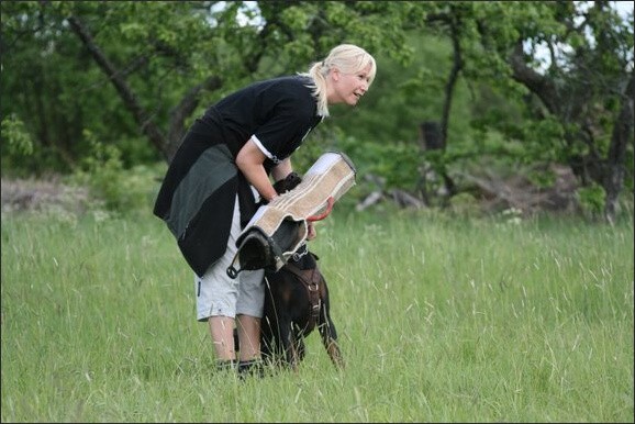 Training in Finland 6/2008