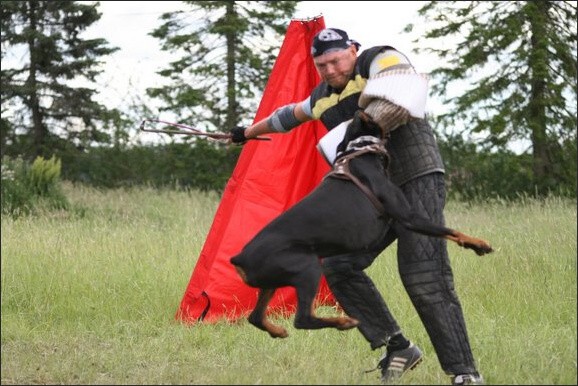 Training in Finland 6/2008