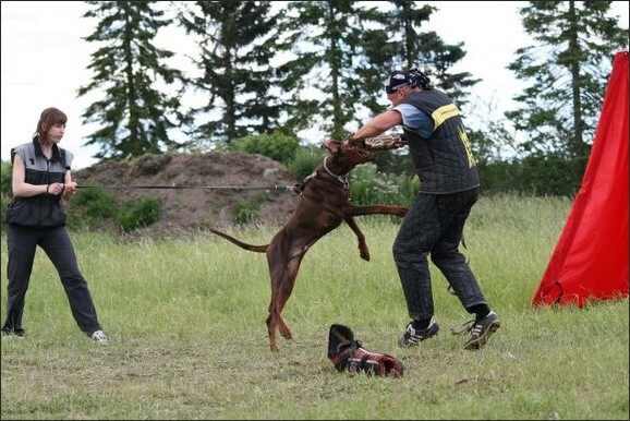 Training in Finland 6/2008