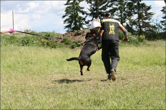 Training in Finland 6/2008