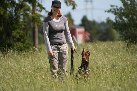 Training in Finland 6/2008