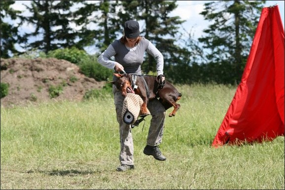 Training in Finland 6/2008