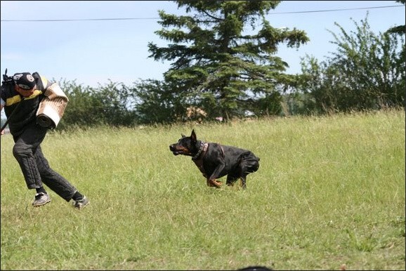 Training in Finland 6/2008