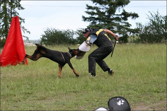 Training in Finland 6/2008