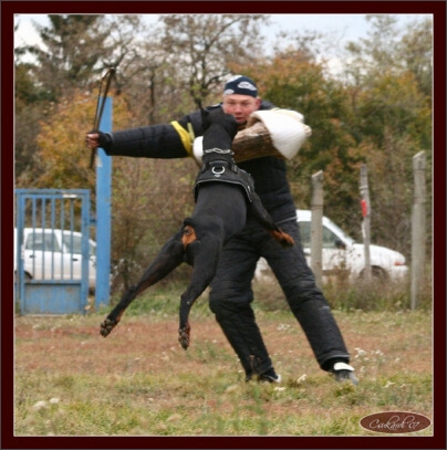 Training in Hungary 10/2007