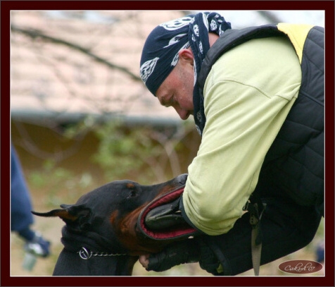 Training in Hungary 10/2007