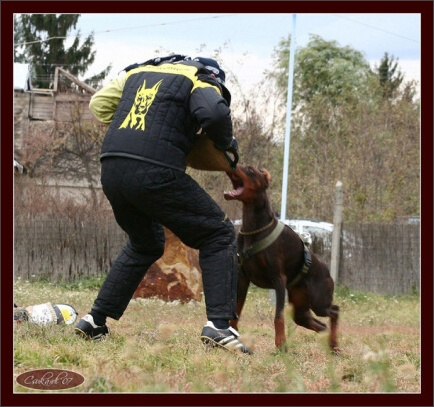 Training in Hungary 10/2007