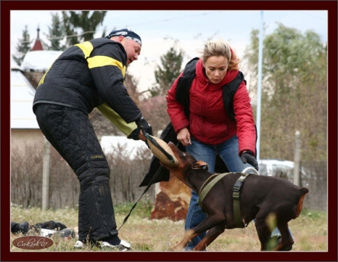 Training in Hungary 10/2007