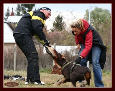 Training in Hungary 10/2007