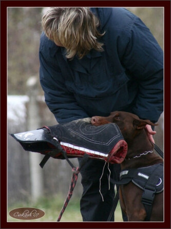 Training in Hungary 10/2007