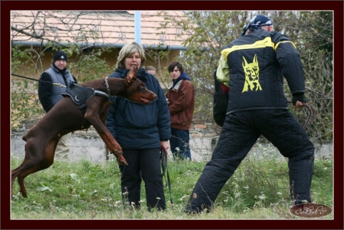 Training in Hungary 10/2007