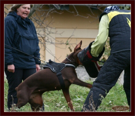 Training in Hungary 10/2007