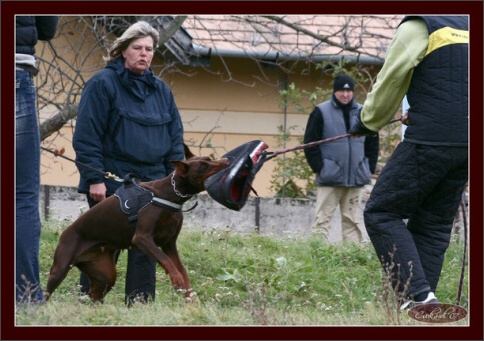 Training in Hungary 10/2007