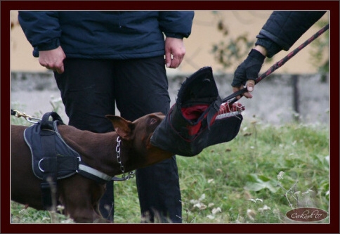 Training in Hungary 10/2007