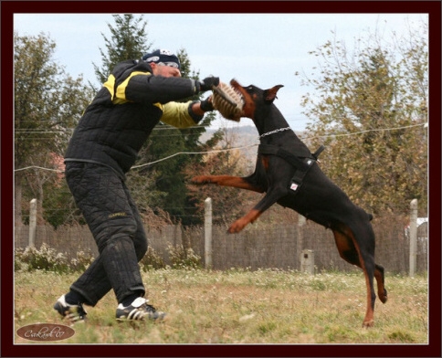 Training in Hungary 10/2007