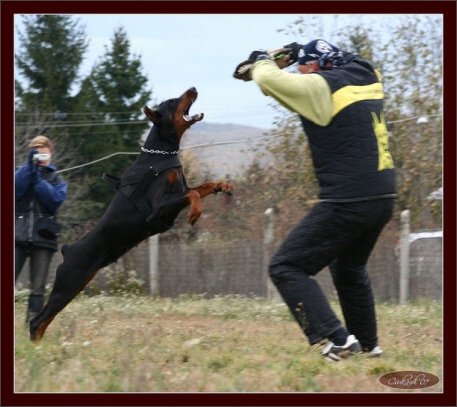 Training in Hungary 10/2007