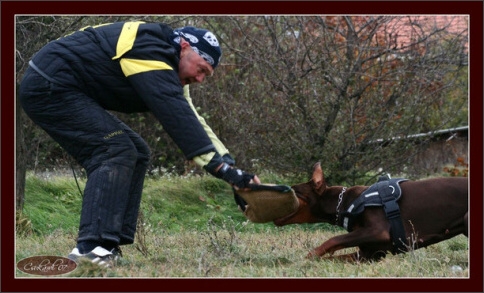 Training in Hungary 10/2007