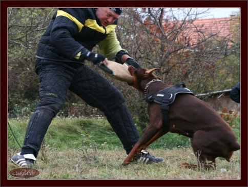 Training in Hungary 10/2007