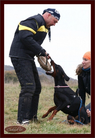 Training in Hungary 10/2007