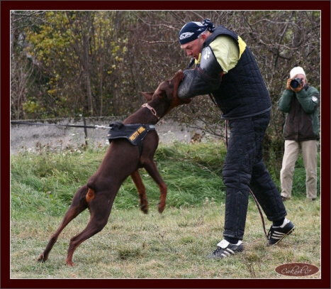 Training in Hungary 10/2007