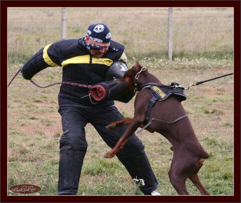 Training in Hungary 10/2007