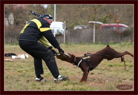 Training in Hungary 10/2007