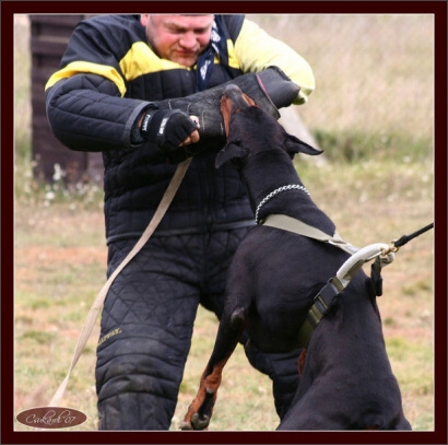 Training in Hungary 10/2007