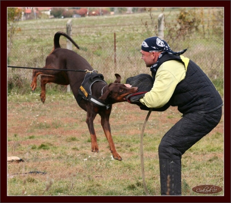 Training in Hungary 10/2007