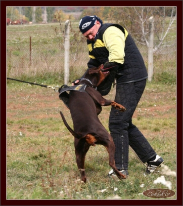 Training in Hungary 10/2007