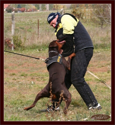 Training in Hungary 10/2007