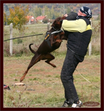 Training in Hungary 10/2007