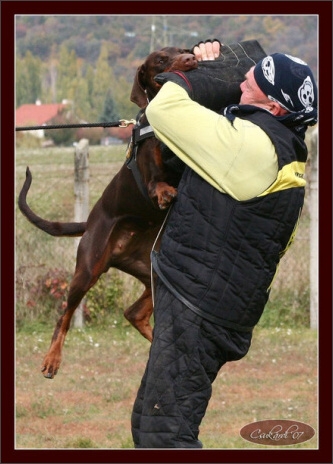 Training in Hungary 10/2007