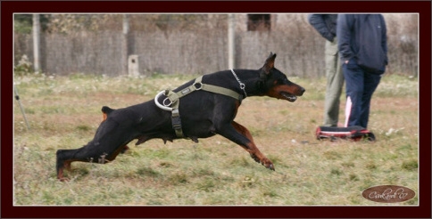 Training in Hungary 10/2007