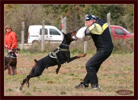 Training in Hungary 10/2007