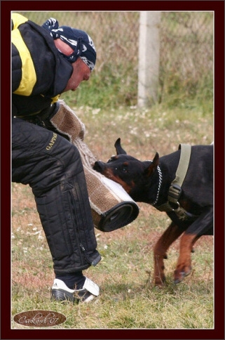 Training in Hungary 10/2007