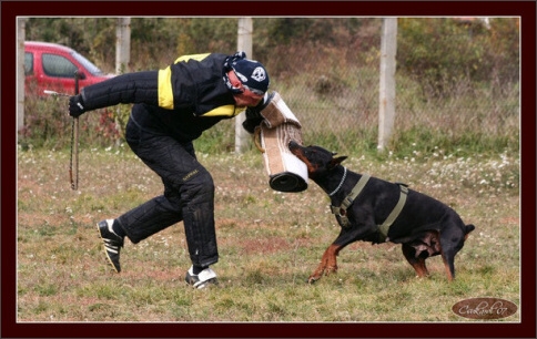 Training in Hungary 10/2007