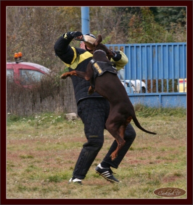 Training in Hungary 10/2007