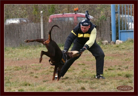 Training in Hungary 10/2007