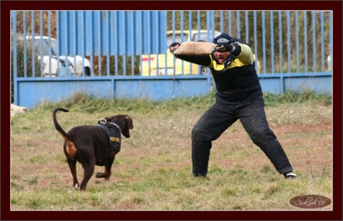 Training in Hungary 10/2007