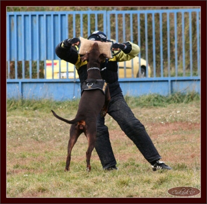 Training in Hungary 10/2007