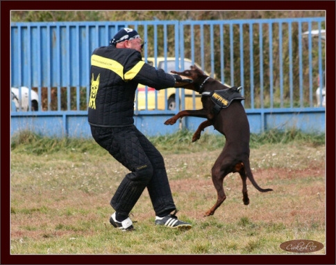 Training in Hungary 10/2007