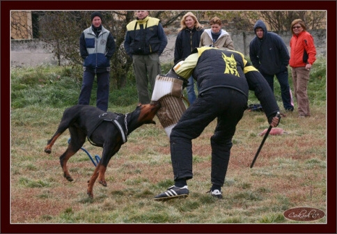 Training in Hungary 10/2007