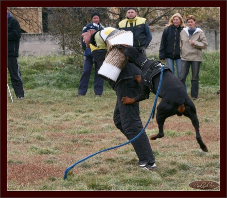 Training in Hungary 10/2007