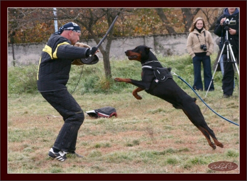 Training in Hungary 10/2007