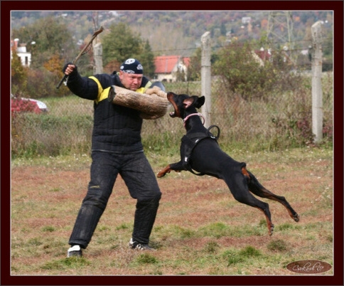 Training in Hungary 10/2007