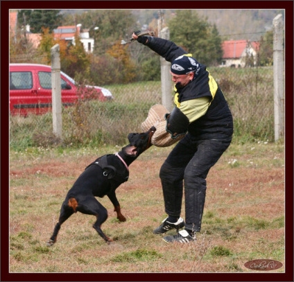 Training in Hungary 10/2007