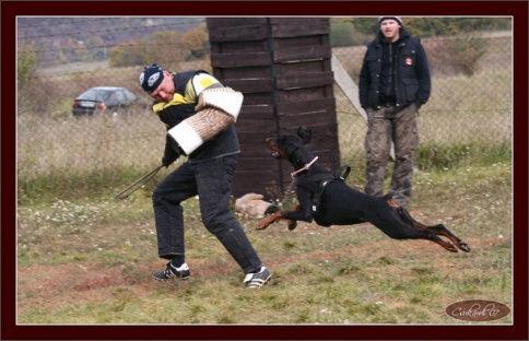 Training in Hungary 10/2007