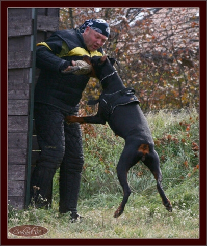 Training in Hungary 10/2007