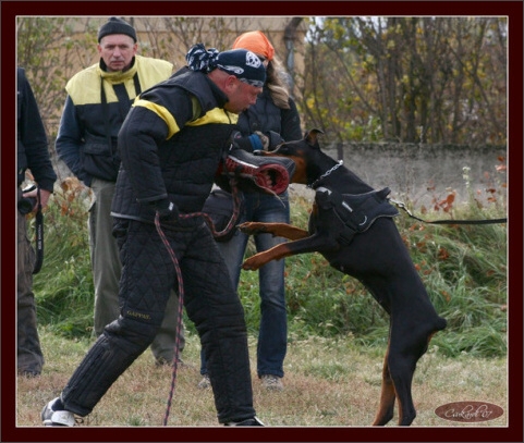 Training in Hungary 10/2007